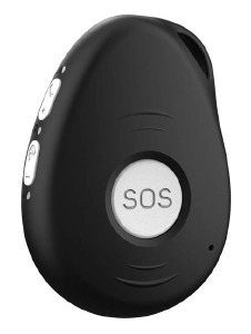 badge mobile GPS principal